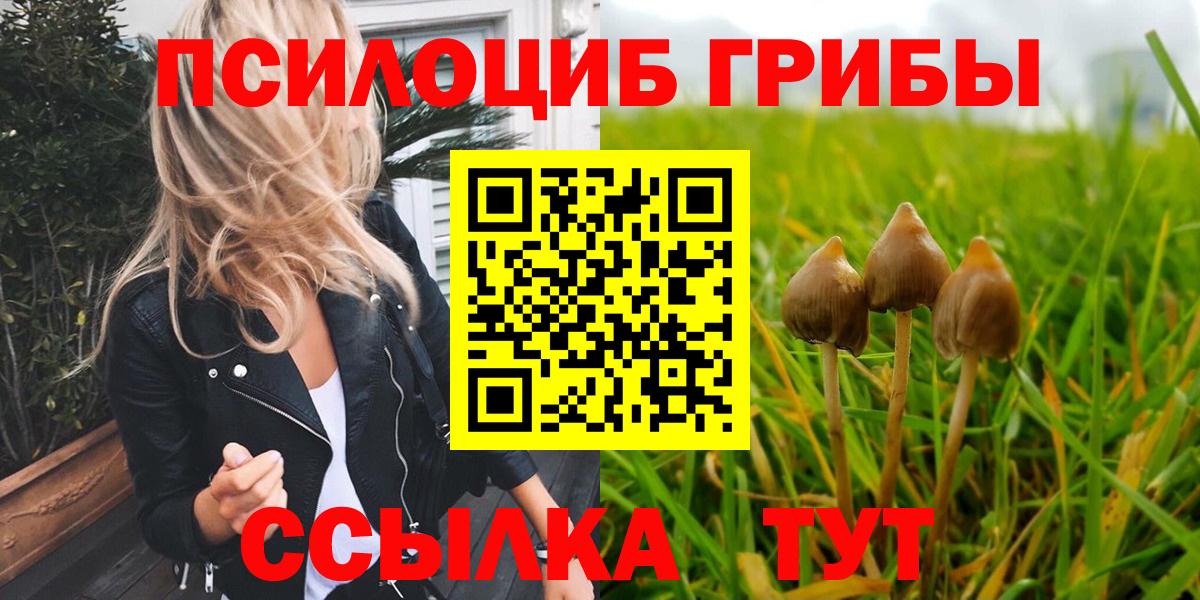 Семилуки  Галлюциногенные грибы Cubensis  Вход с VPN 
