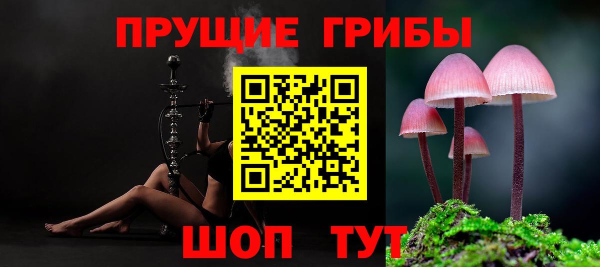 Галлюциногенные грибы MAGIC MUSHROOMS Семилуки